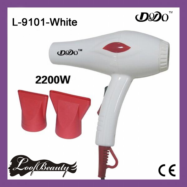 Professional Hair Dryer, 2200 W, color white